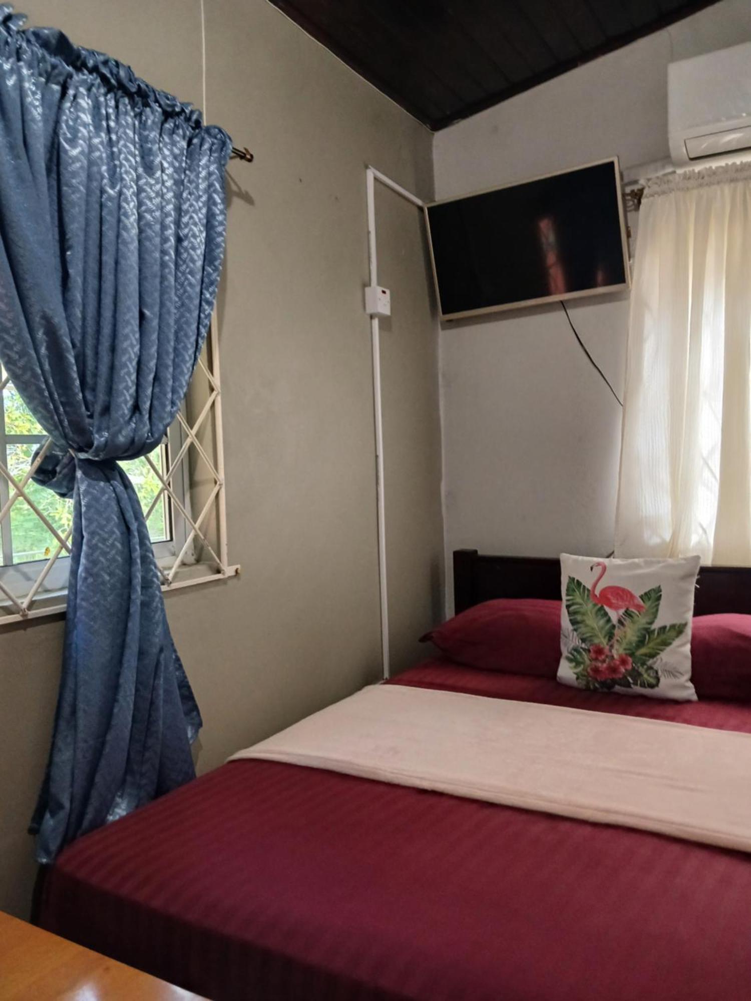 Ultimate Freedom Bed And Breakfast Santa Cruz Room photo